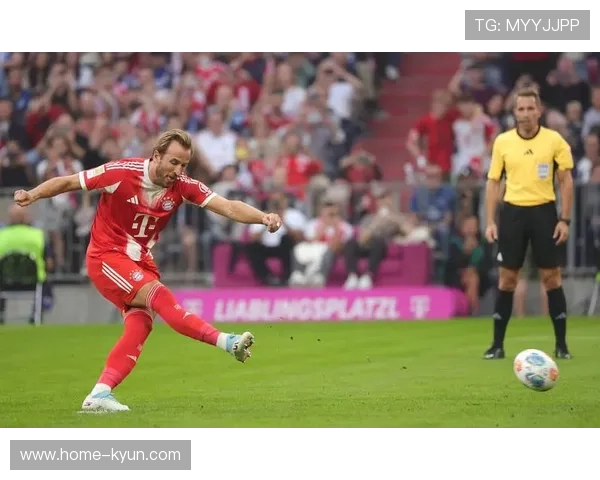 武什科维奇头球扳平拜仁，汉堡主场沸腾助保级士气